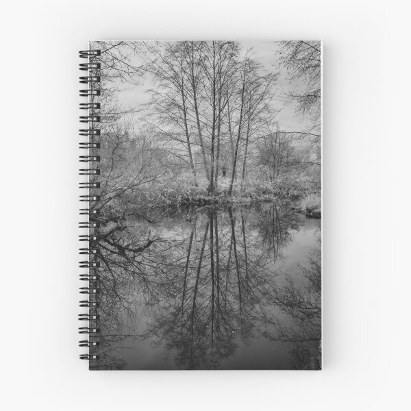Item preview, reflections on lost lagoon designed and sold by jackson photografix.