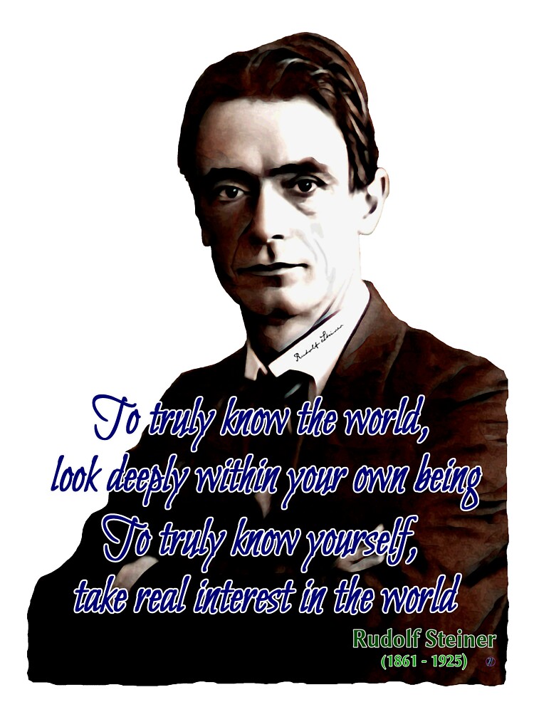 Camiseta Para Ninos Una Cita De Rudolf Steiner De Fedval Redbubble