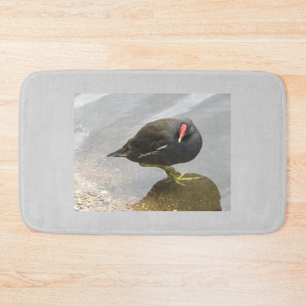 Item preview, Balancing Moorhen in Shallow Water Photograph designed and sold by naturegallery.