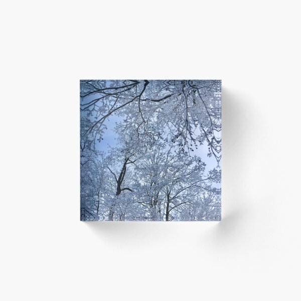 Item preview, Trees covered in Ice designed and sold by Claire P.