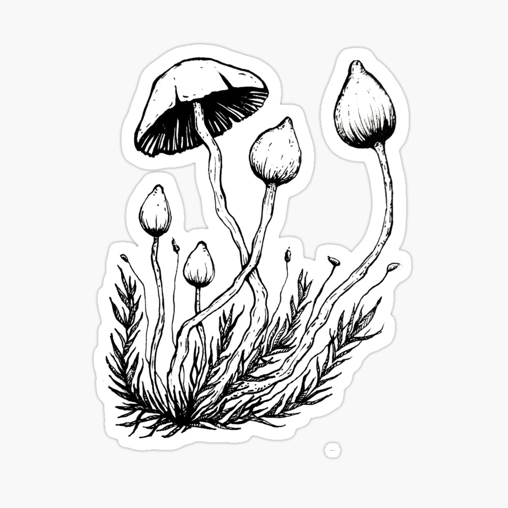 Mini Poster Magical Mushrooms Still Growing 32x44cm 