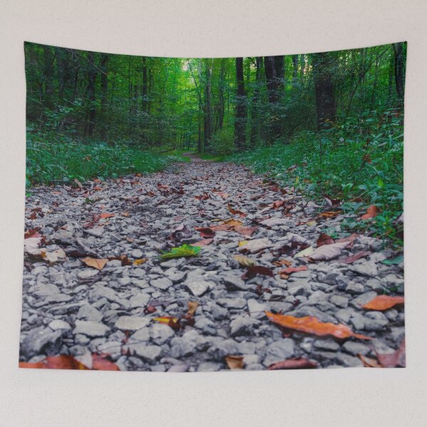 Item preview, Great Smoky Mountains Walk designed and sold by A Divergent  Lens.