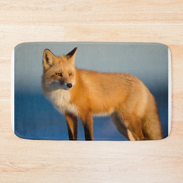 Item preview, Fox Stands Alone designed and sold by Tim Thompson.