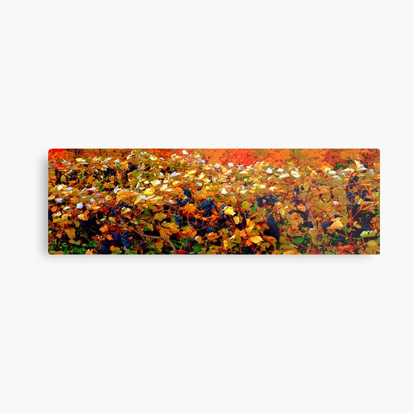 Grape Leaves in the Autumn Wind Metal Print