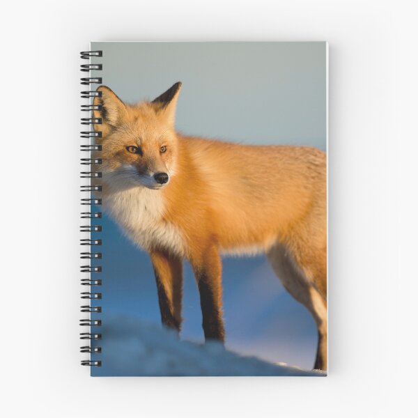 Item preview, Fox Stands Alone designed and sold by Tim Thompson.