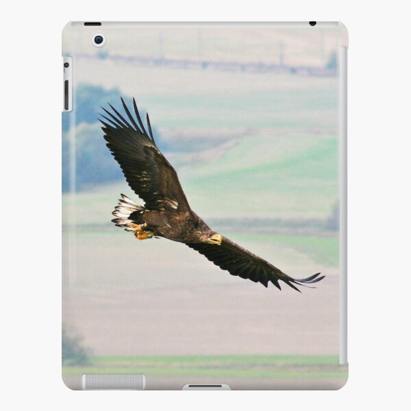 White tailed Eagle iPad Snap Case