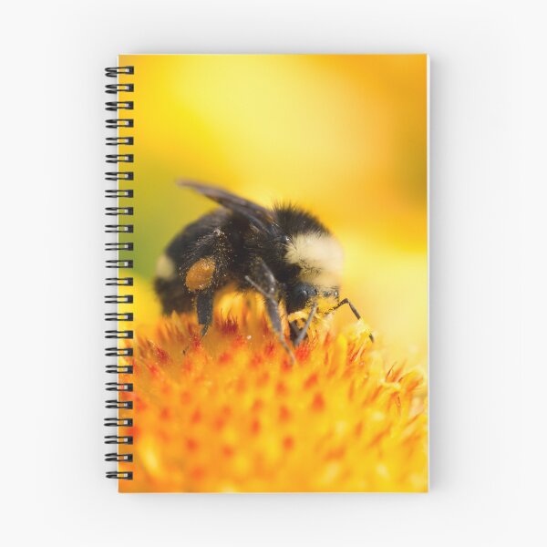 Item preview, Bumblebee designed and sold by AnnoraBee.