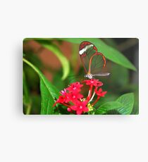 Flower Glasswing - Greta Oto Metal Print