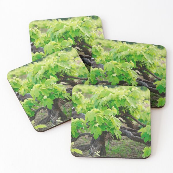 Item preview, Grape vines designed and sold by Gaspar Avila.