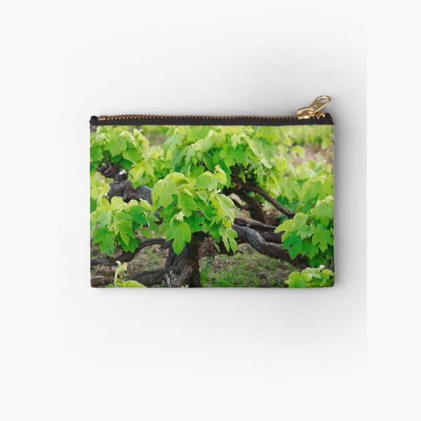 Artikelvorschau, Grape vines entworfen und verkauft von Gaspar Avila.