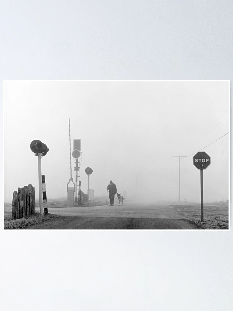 Thumbnail 1 of 3, Poster, Walk in the Mist designed and sold by Rafael López.