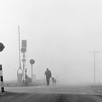 Artwork thumbnail, Walk in the Mist by Rafael López