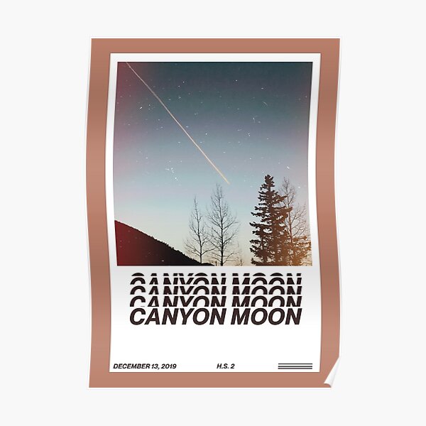 harry styles canyon moon modifier Poster