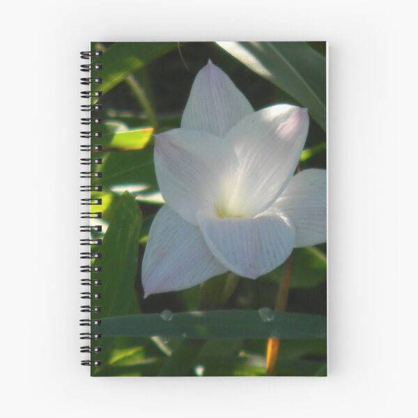 Item preview, Freshly Opened designed and sold by Navigator.