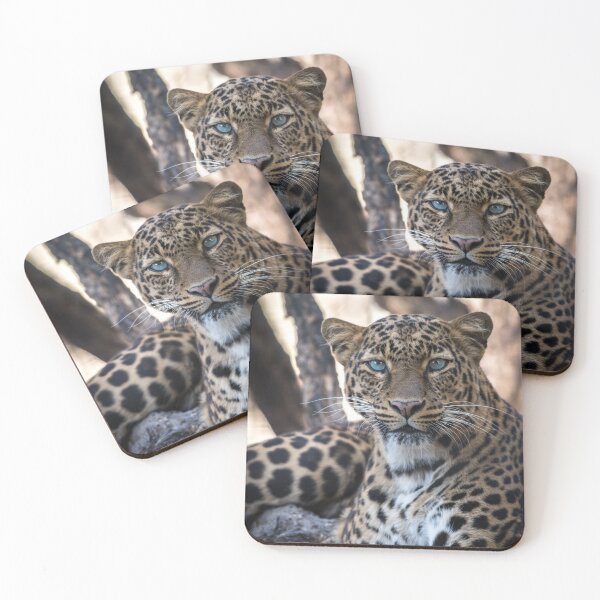 Item preview, Leopard Watching You! designed and sold by Tim Thompson.