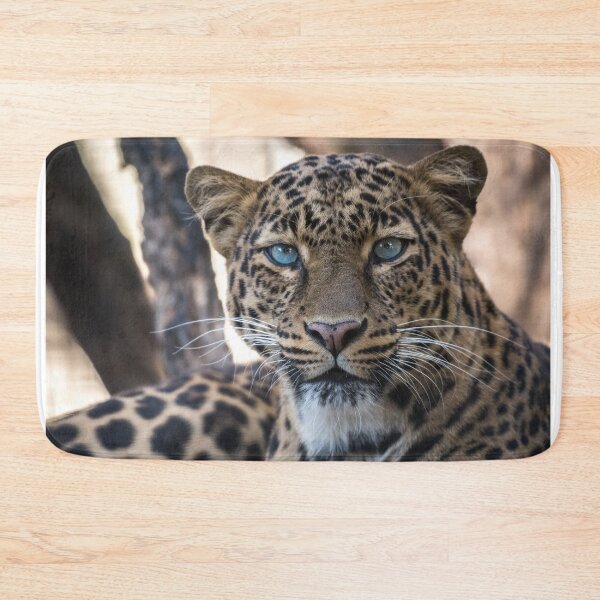 Item preview, Leopard Watching You! designed and sold by Tim Thompson.