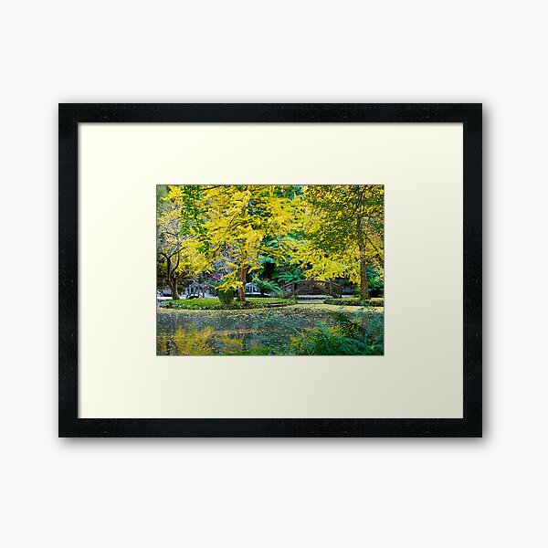Item preview, Autumn, Alfred Nicholas Memorial Gardens, Victoria, Australia. designed and sold by johnrf.