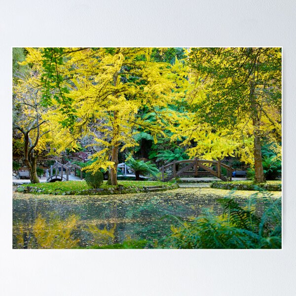 Item preview, Autumn, Alfred Nicholas Memorial Gardens, Victoria, Australia. designed and sold by johnrf.