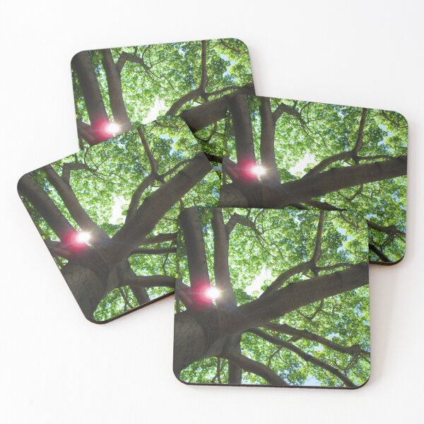 Item preview, Kapok Tree in Key West designed and sold by aevans1500.