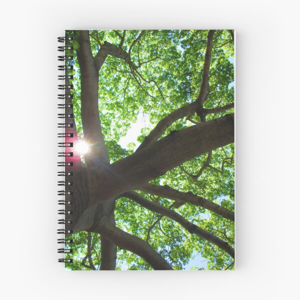 Item preview, Kapok Tree in Key West designed and sold by aevans1500.