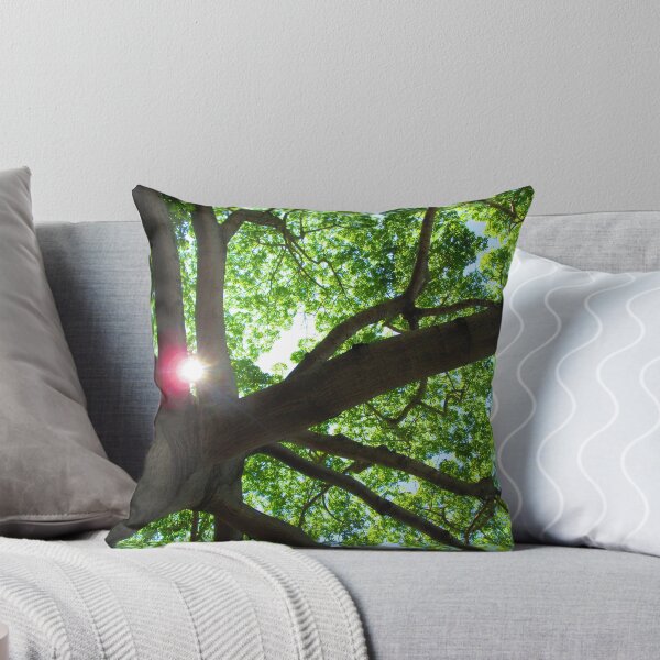 Item preview, Kapok Tree in Key West designed and sold by aevans1500.