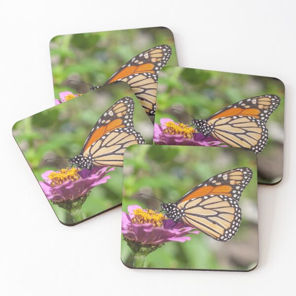 Item preview, Monarch 2019-6 designed and sold by Thomasyoung.