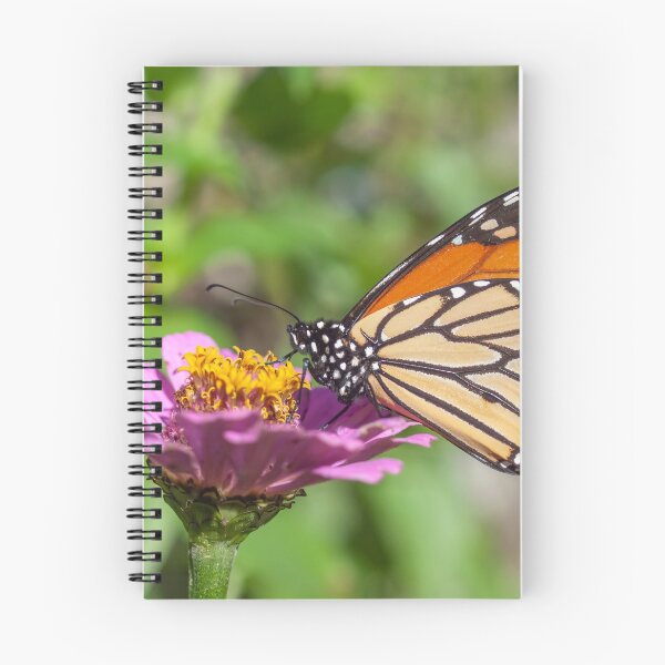 Item preview, Monarch 2019-6 designed and sold by Thomasyoung.