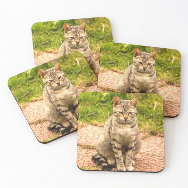 Item preview, ibs tabby cat designed and sold by pcfyi.