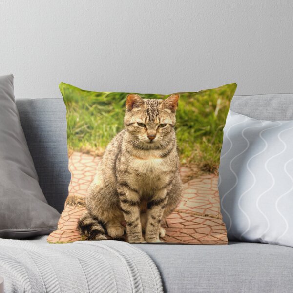 Item preview, ibs tabby cat designed and sold by pcfyi.