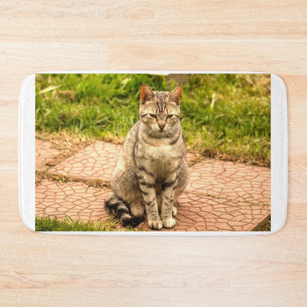 Item preview, ibs tabby cat designed and sold by pcfyi.