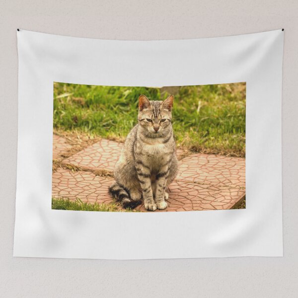 Item preview, ibs tabby cat designed and sold by pcfyi.