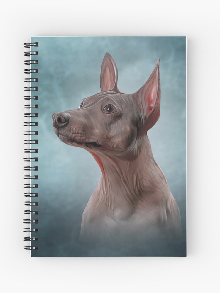 Cuaderno de espiral «Dibujo Xoloitzcuintle - raza de perro mexicano sin  pelo» de bonidog | Redbubble