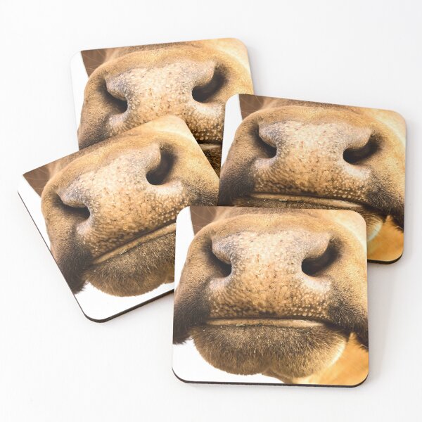Item preview, Nosey Moo designed and sold by Penny Kittel.