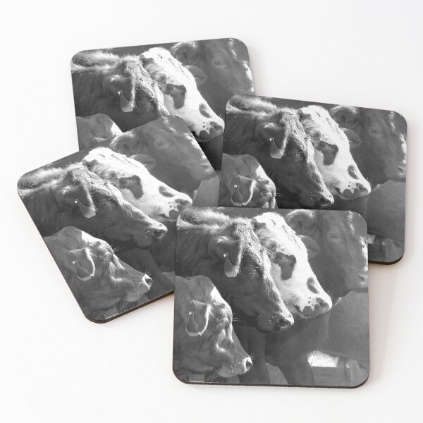 Item preview, Young herd designed and sold by Penny Kittel.