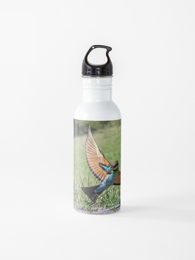 Rainbow Bee Eater Water Bottle By Johnvandy Redbubble