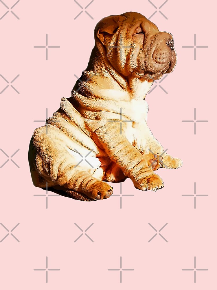 The Chinese Shar-Pei Wallpapers - Wallpaper Cave