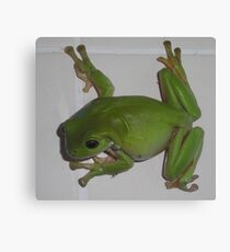 There's a Frog in my Shower. Canvas Print