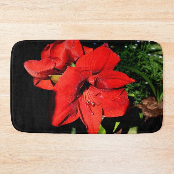 Item preview, IN RED -  ‘hippy’ Hippeastrum hybrids  designed and sold by Magriet Meintjes.