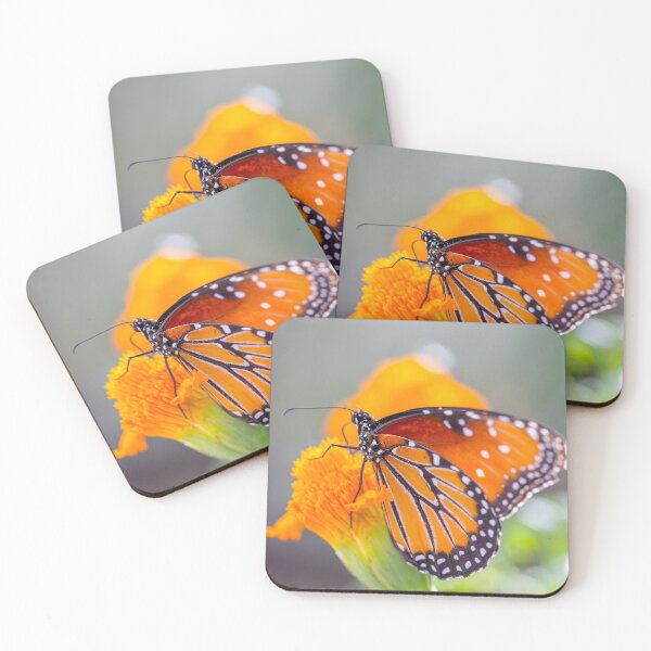 Item preview, Monarch Butterfly and Orange Flower designed and sold by srgreen.