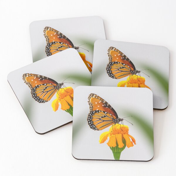 Item preview, Monarch Butterfly and Orange Flower 2 designed and sold by srgreen.