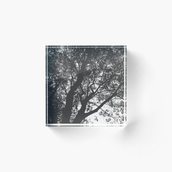 Item preview, Beautiful Tree designed and sold by darkrose23.