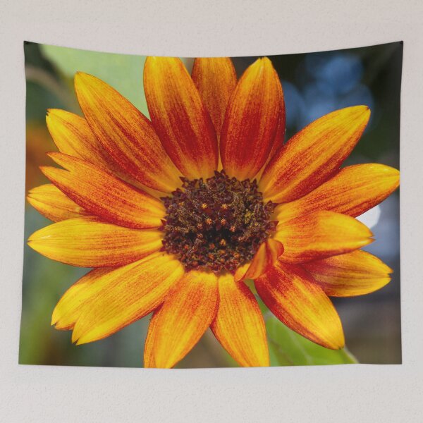 Item preview, Burnt Orange Sunflower designed and sold by srgreen.