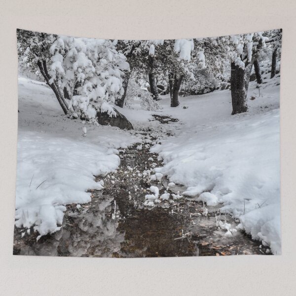 Item preview, Snowy Creek Reflection designed and sold by Mary Kayser.