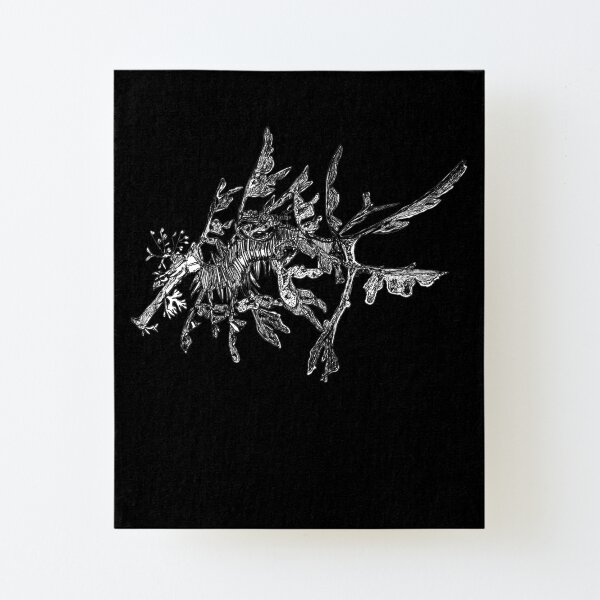 Jonesy the Leafy Sea Dragon on Black Canvas Mounted Print