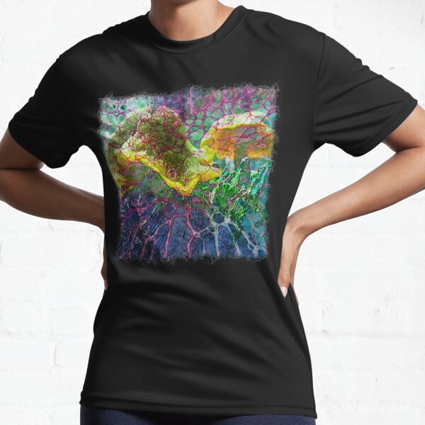 The Atlas Of Dreams - Color Plate 85 Active T-Shirt