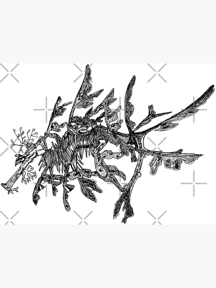 Jonesy the Leafy Sea Dragon by Wildcard-Sue