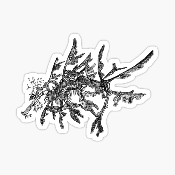 Jonesy the Leafy Sea Dragon  Sticker