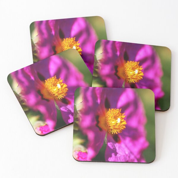 Item preview, Hot Desert Rose Flower designed and sold by Joy Watson - Natural Light Photography .
