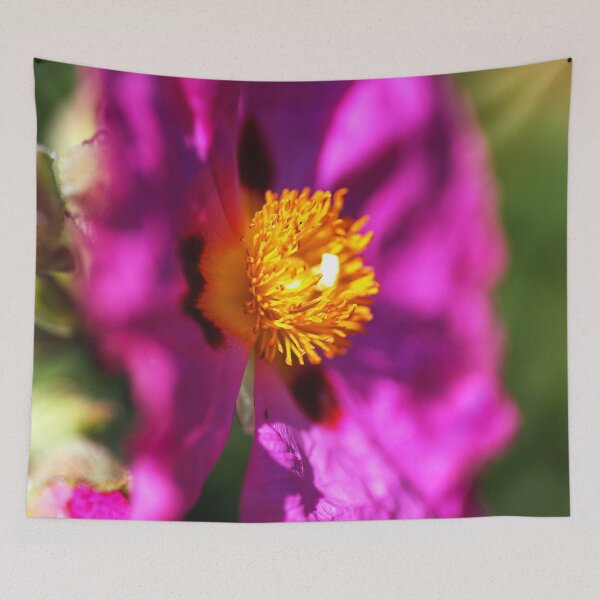 Item preview, Hot Desert Rose Flower designed and sold by Joy Watson - Natural Light Photography .