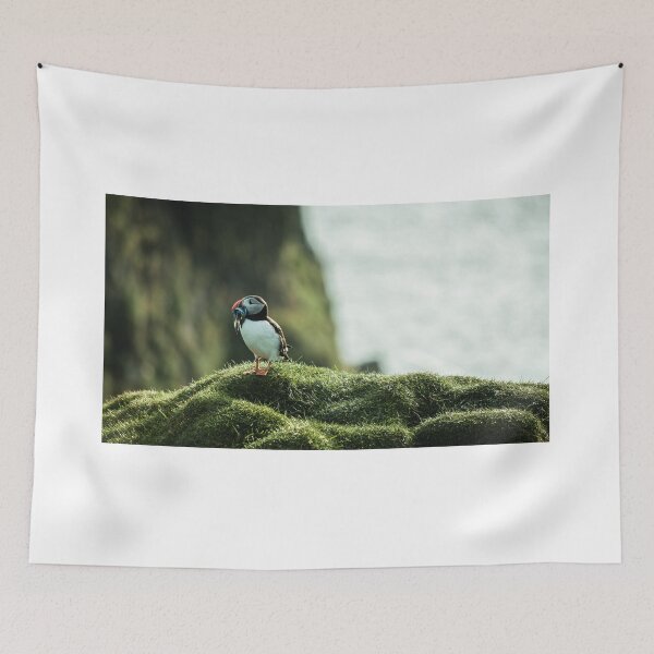 Item preview, Puffin in Faroe Islands designed and sold by Tommyg83.